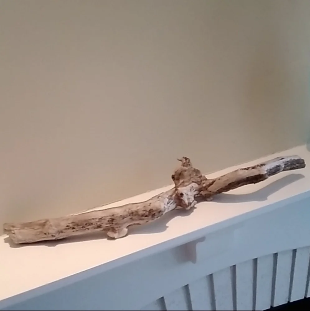 Driftwood Naturally Beautiful Home Decor Natures Pleasure Made by Mother Nature
